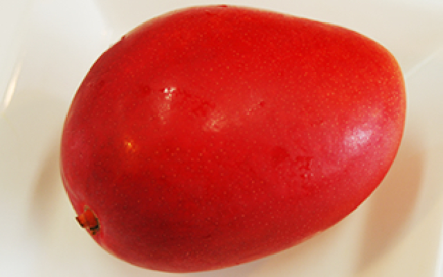 贈答品に最適な全体を赤みで覆われたマンゴーです